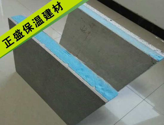 ��𱣜�ģ��