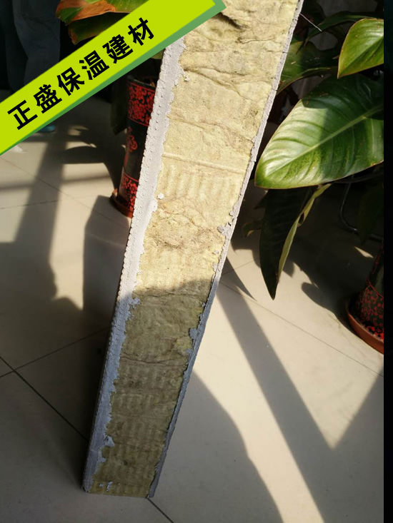 ��𱣜�ģ��